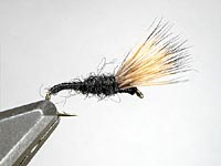 black funnel