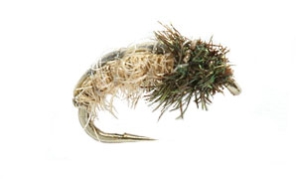 tan caddis larva