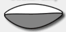 court model