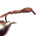 sawyer pheasant tail nymph