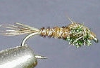 Troth's pheasant tail