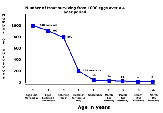 trout survival 0-4 years of age