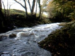 Avon in flood