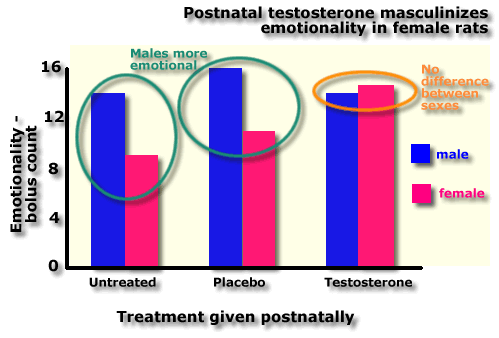 Exploratory behaviour influenced by hormone exposure in infancy